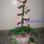 orchidej 2