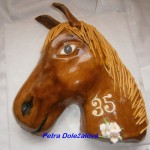 Kůň s 35