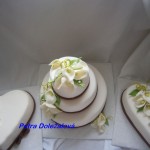 Bílý s bordó-sada